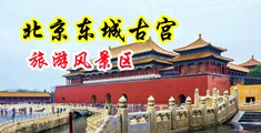 爆乳肥臀午夜中国北京-东城古宫旅游风景区
